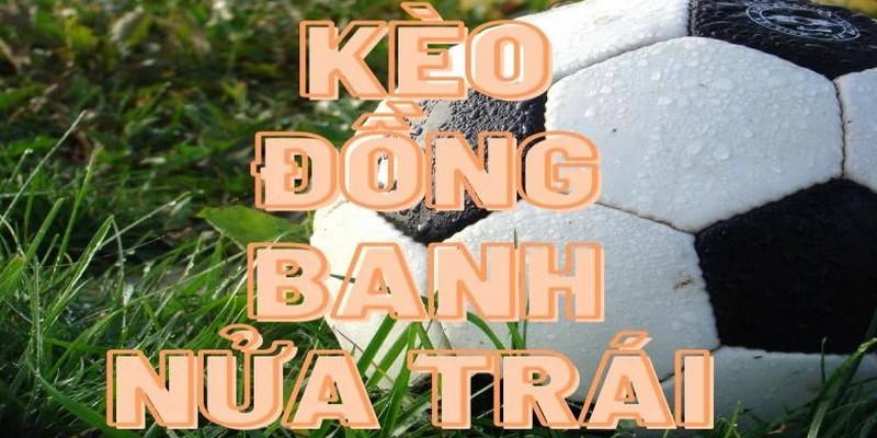 Đồng banh nửa trái - Sự lựa chọn thích hợp cho tân thủ